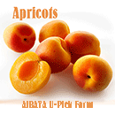 Farm Fresh Apricots